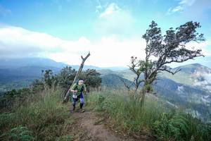 BIB: 
                            <button type="button" onclick="openModal(22371882)" class="btn btn-primary btn-sm float-right btn-popup" data-toggle="modal" data-target=".modal-high-quality">
                        <i class="fas fa-shopping-cart"></i> Add to Cart
                    </button>
                                            <button type="button" onclick="isThisMe(22371882, true)" class="btn btn-success btn-sm float-right btn-popup btn-isme hidden" data-toggle="tooltip" data-placement="bottom" title="นี่คือรูปของคุณใช่ไหม คลิกที่นี่เพื่อเอาเข้าอัลบั้ม">
                        <i class="fas fa-plus"></i> Add to album
                    </button>
                    <button type="button" onclick="isThisMe(22371882, false)" class="btn btn-warning btn-sm float-right btn-popup btn-isnotme hidden">
                        <i class="fas fa-ban"></i> Remove from album
                    </button>